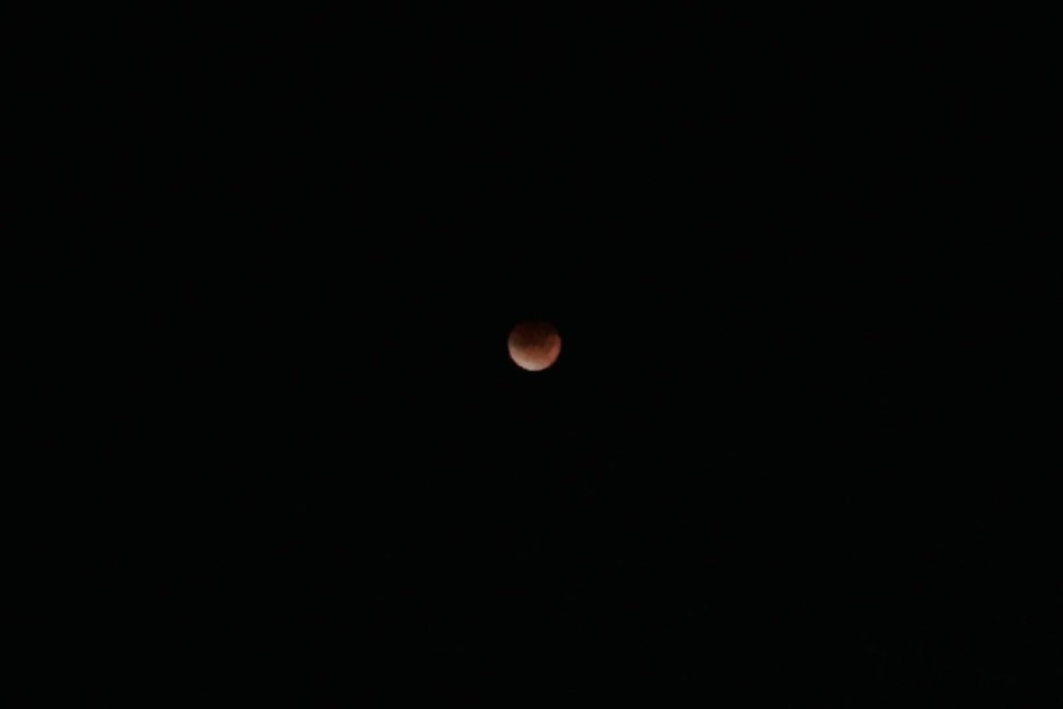 皆既月食、始まった辺りだけだけど、
初めて見れました🌚