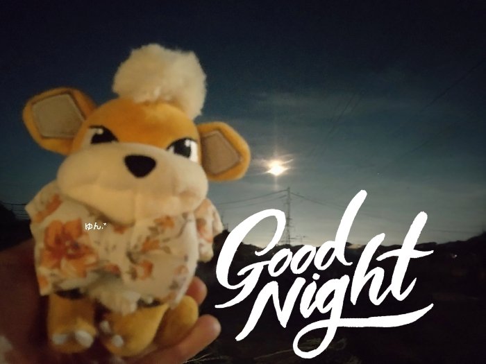 月綺麗だったね こたろっ🌙*
#ポケモンfit