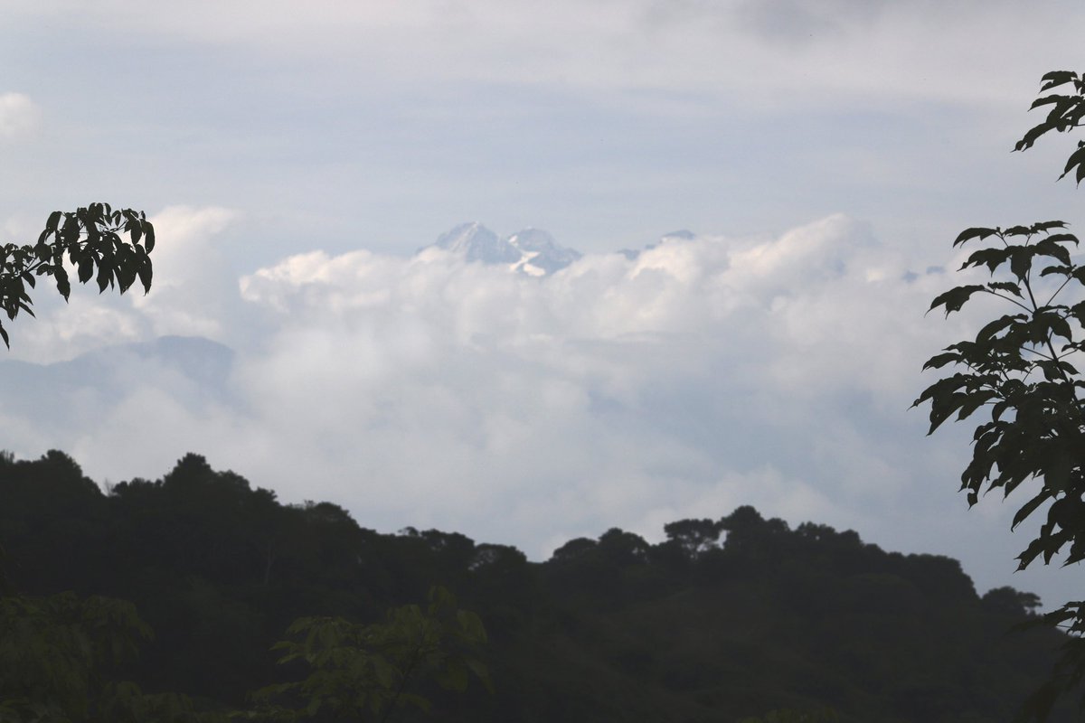 jrambaud's tweet image. #SierraNevada de #SantaMarta #Picos #Colon y #Bolivas 5.700 m. Techo de #Colombia. Todos los pisos #climaticos posibles en 46 km hasta el mar #Caribe