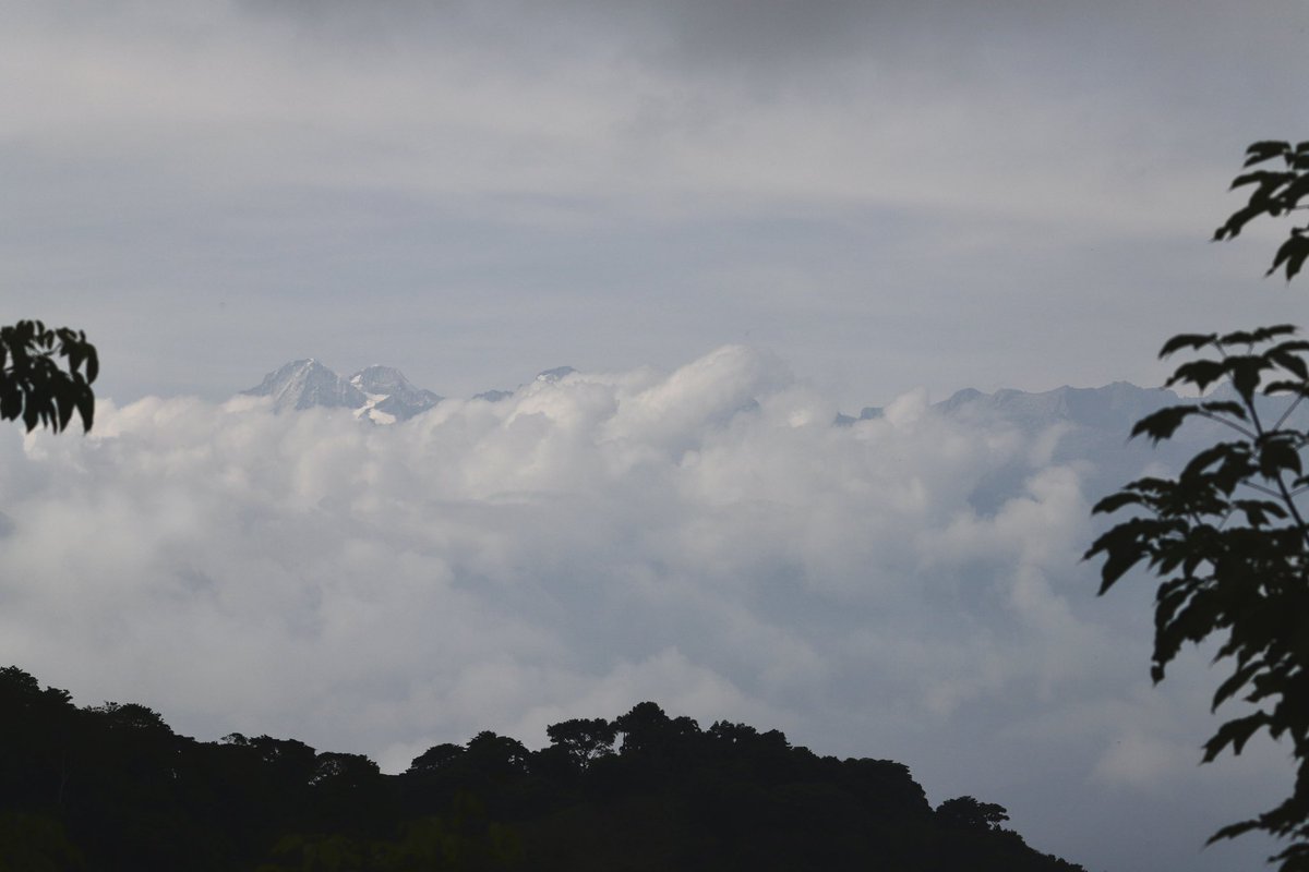 jrambaud's tweet image. #SierraNevada de #SantaMarta #Picos #Colon y #Bolivas 5.700 m. Techo de #Colombia. Todos los pisos #climaticos posibles en 46 km hasta el mar #Caribe