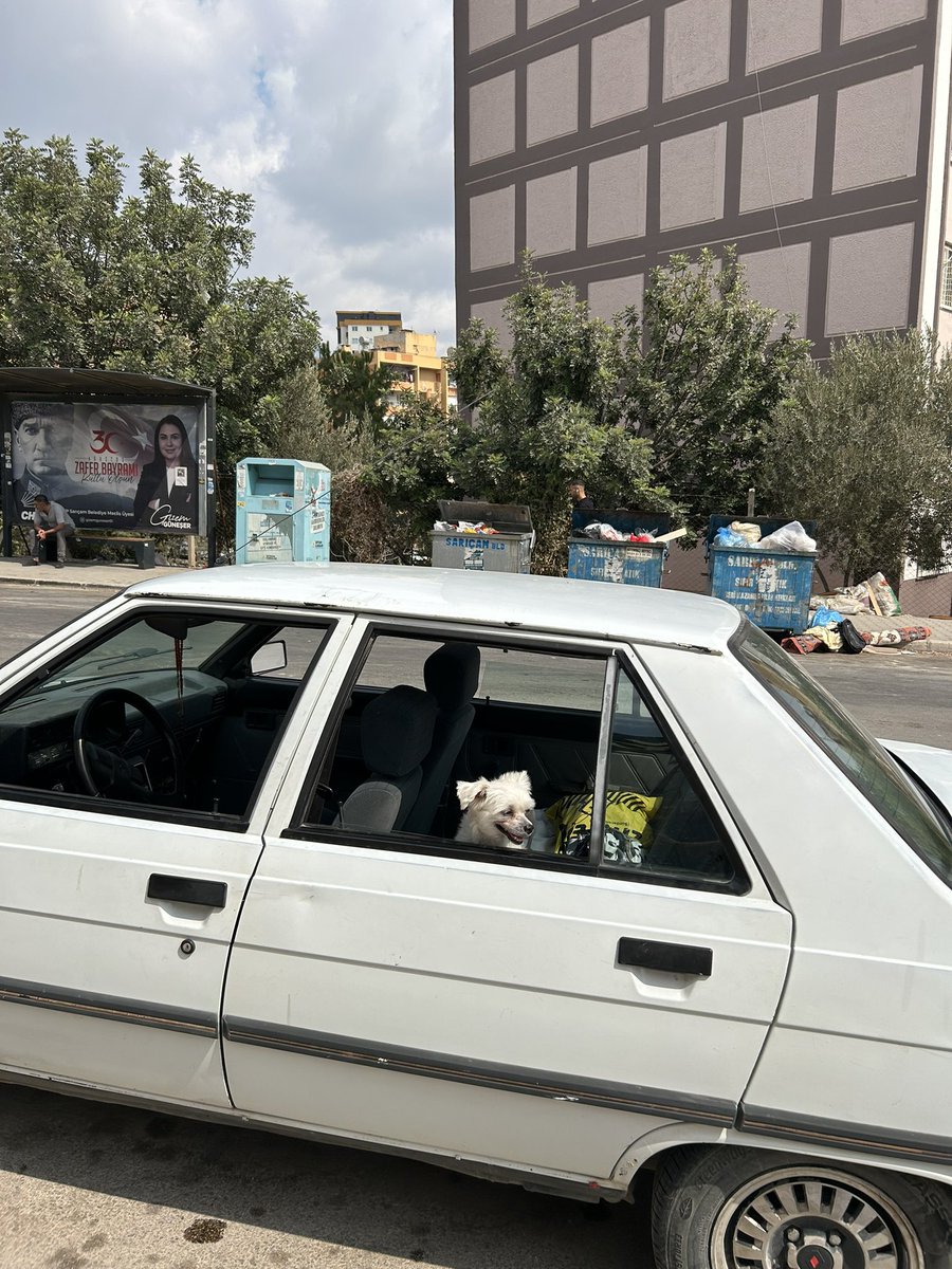 Şuna güvenip camları açık bırakıp gitmişler