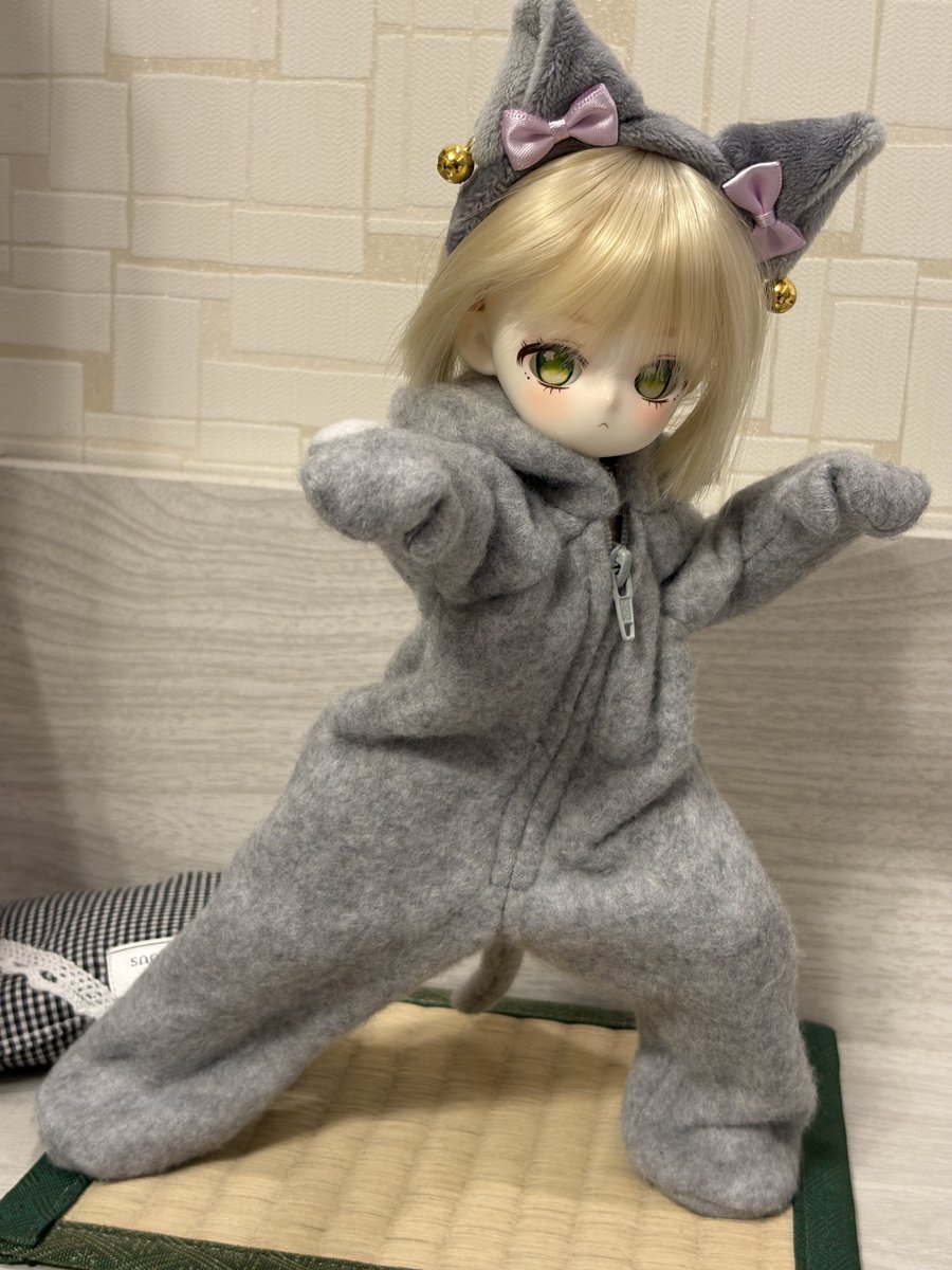 ドルパでGETしたネコの着ぐるみ
手にアルミを仕込んでグーが握れるようにしてみったー
おかげで小魚アーモンドもホレこの通り

🐸「ネコパンチも、できる！」
それちが😰
#TinyFox #うちのこかわいい