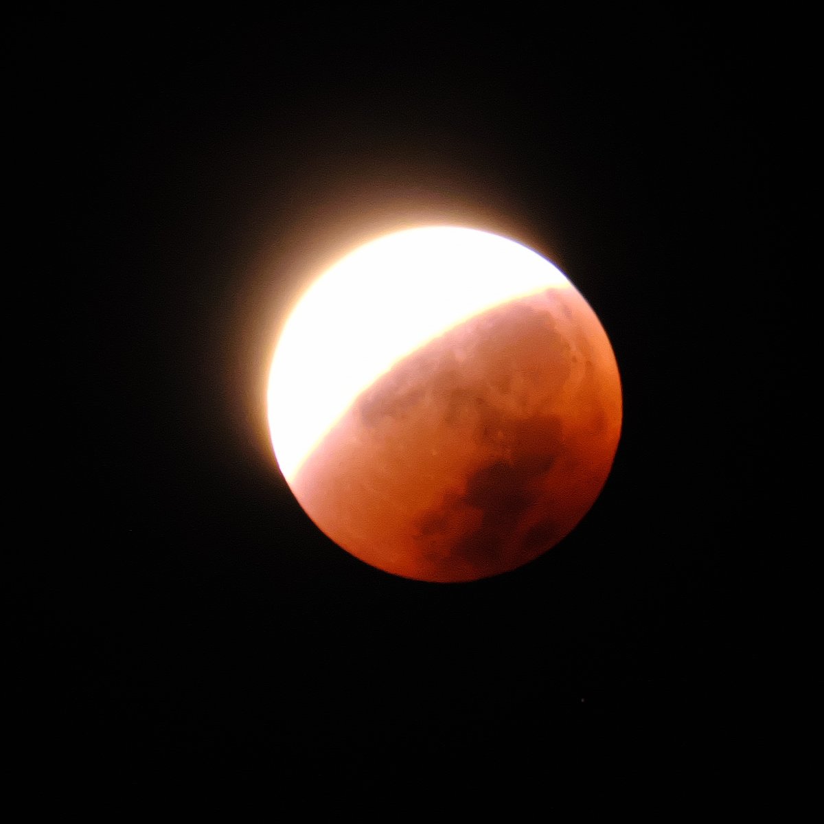 昨夜の皆既月食。3枚目以外は全て手持ち撮影。皆既月食になると当然ながら暗くなるので周りの星も良く見えるな～と思ったよ。
