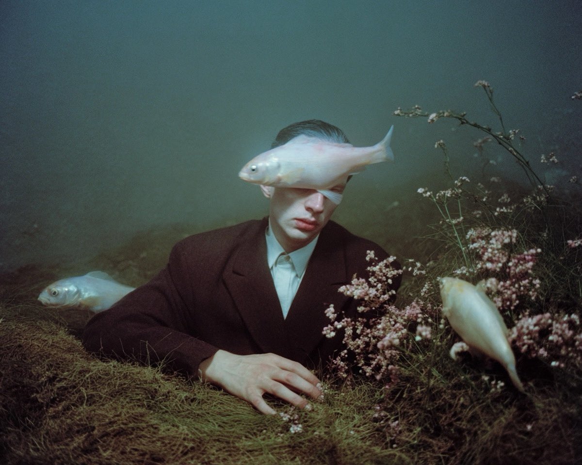 _blumquist's tweet image. I wish I had more foresight.