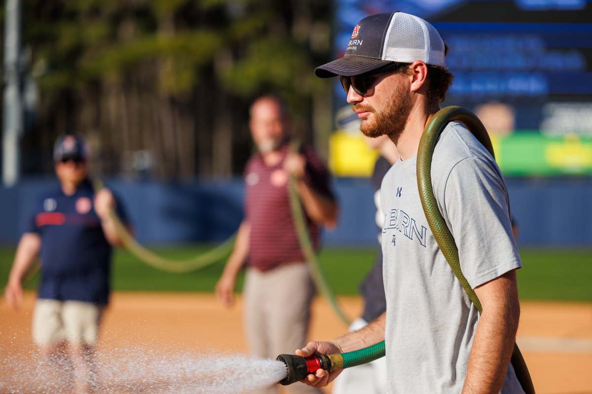 Auburn Softball tweet media