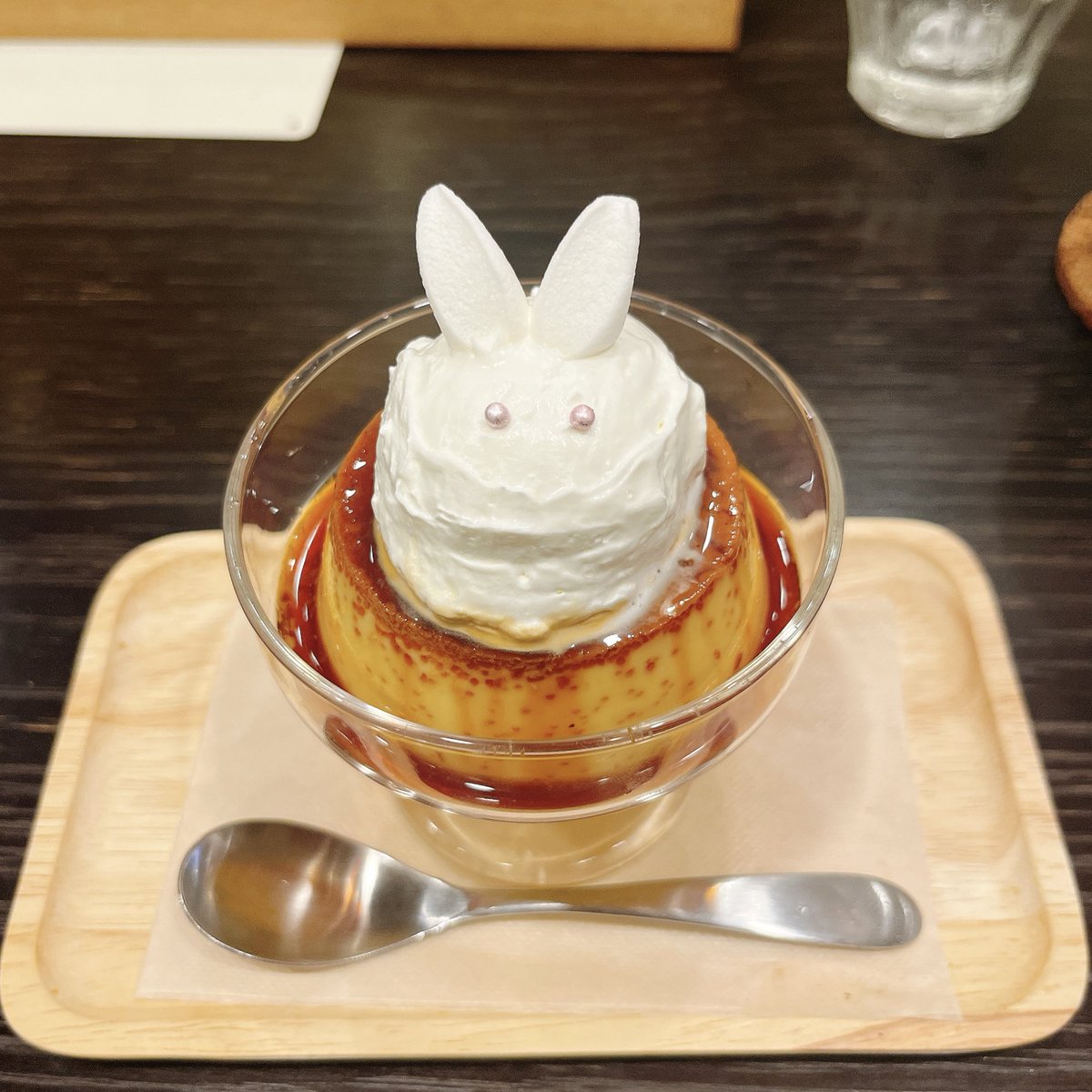 うさぎカフェ巡り🐰🍨🤎