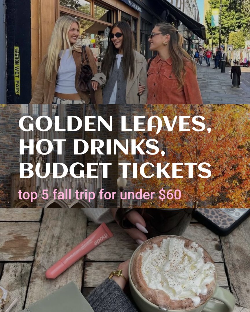 tickets_hq's tweet image. Golden leaves, hot drinks, budget tickets ☕✈️
Top 3 fall trips for under $60 — cozy streets, autumn vibes, and memories that last forever.
📲 Book now on tickets.us and make it happen!
#cheapflights #tickets_us #fallgetaway #budgettravel