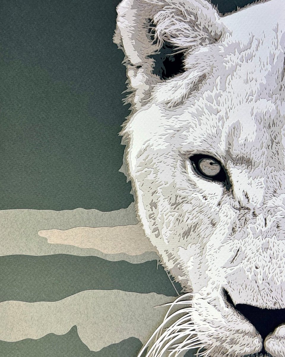 CCFCheetahUK's tweet photo. ✨ For the first time, we’re bringing you an #ArtistTakeover! This month, meet Sarah Lake, a talented paper artist from Kent whose love for wildlife shines through every piece she creates. 🐾✂️

What started as a hobby over ten years ago has now turned into something truly meaningful: Sarah donates her unique papercut artworks to wildlife charities, including CC, to help raise funds for conservation. 💛

 If you want to get to know more about Sarah's work, click on the link below.

🔗https://t.co/aYJ8t85LHw

#WildlifeConservation #Wild #SaveTheCheetahs #LeadingTheCharge #ProtectWildlife #SaveWildlife
