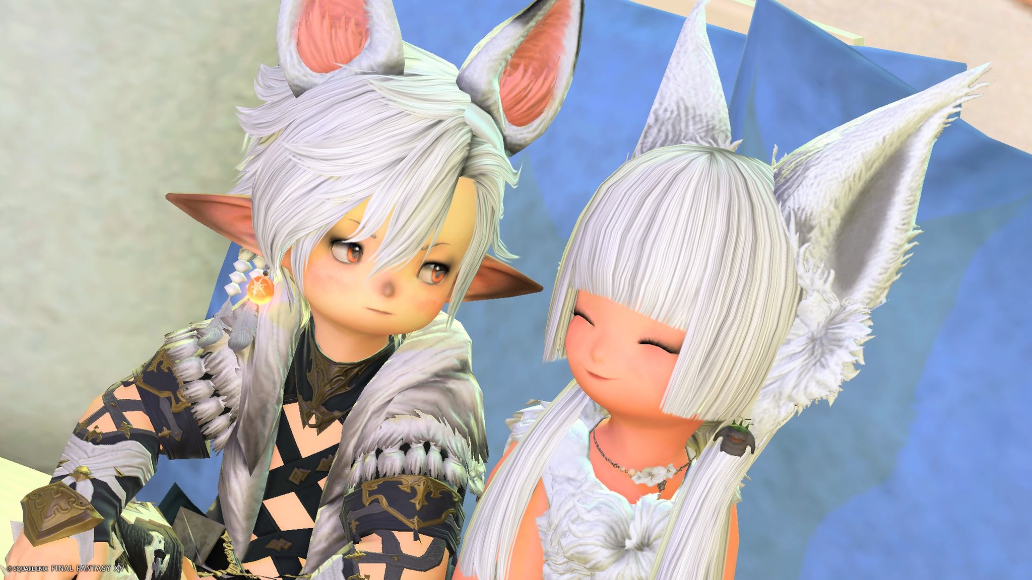 もふこ🐾 (@mf___0w0) / X