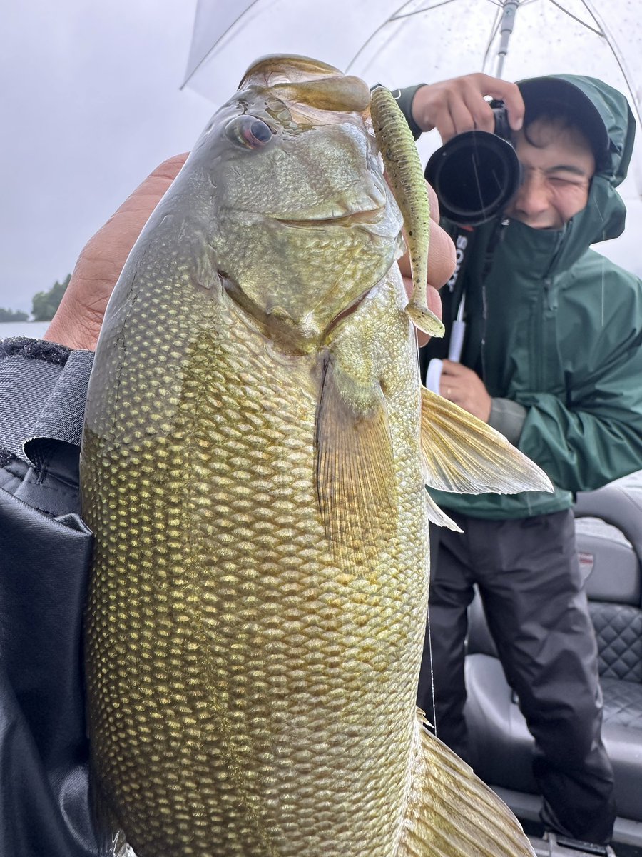 JACKALL - トシモチ出品 Jackall Bassfishing
