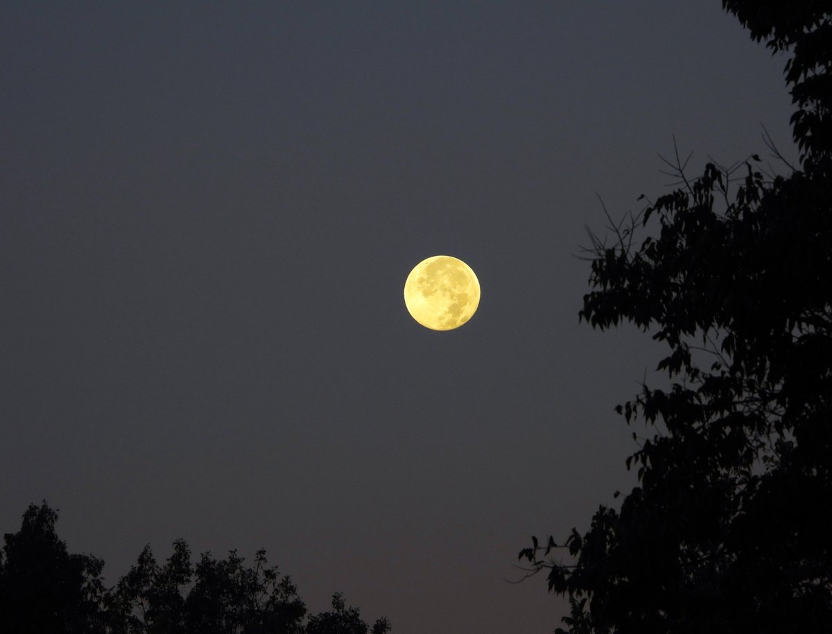 This morning's Full Corn Moon sets over western downtown North Prairieton ... It's Monday, Hauteans. #MondayMorning #CornMoon