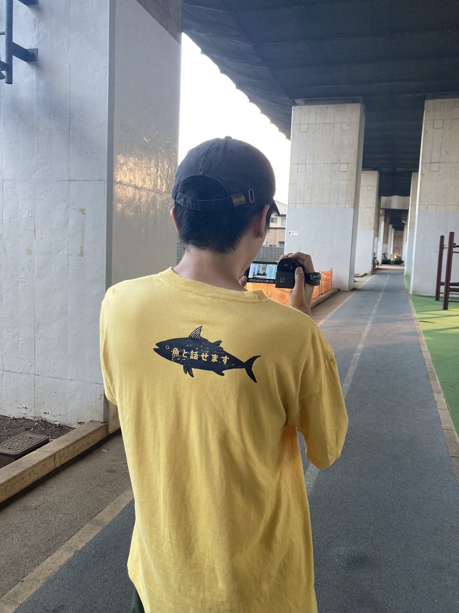 minimum_multi's tweet image. らしい
@simple_person19