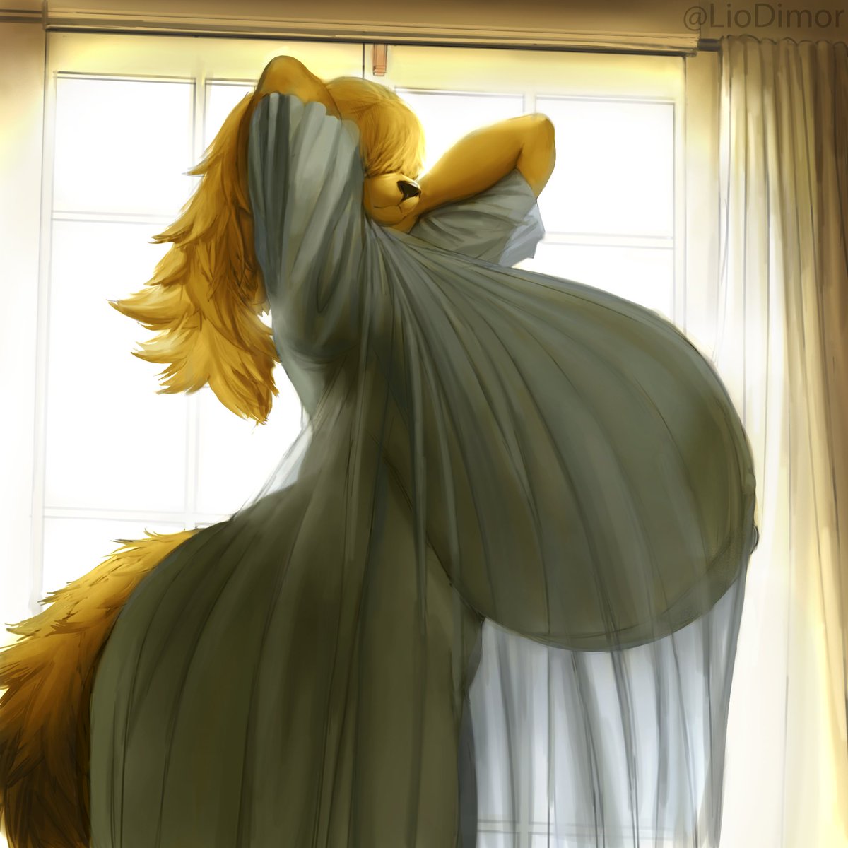 A good morning starts with a good view