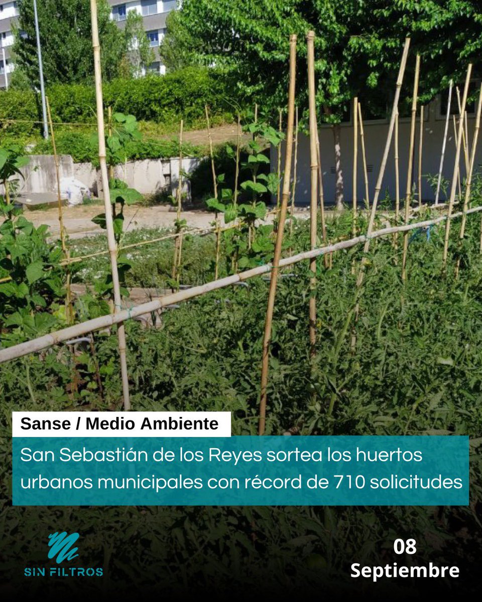 🔷 San Sebastián de los Reyes sortea los huertos urbanos municipales con récord de 710 solicitudes

📣 El 10 de septiembre se celebrará el sorteo público para adjudicar parcelas en Tempranales y la Avd. de Navarra, un proyecto que impulsa la agroecología.

#FelizLunes #USOpen