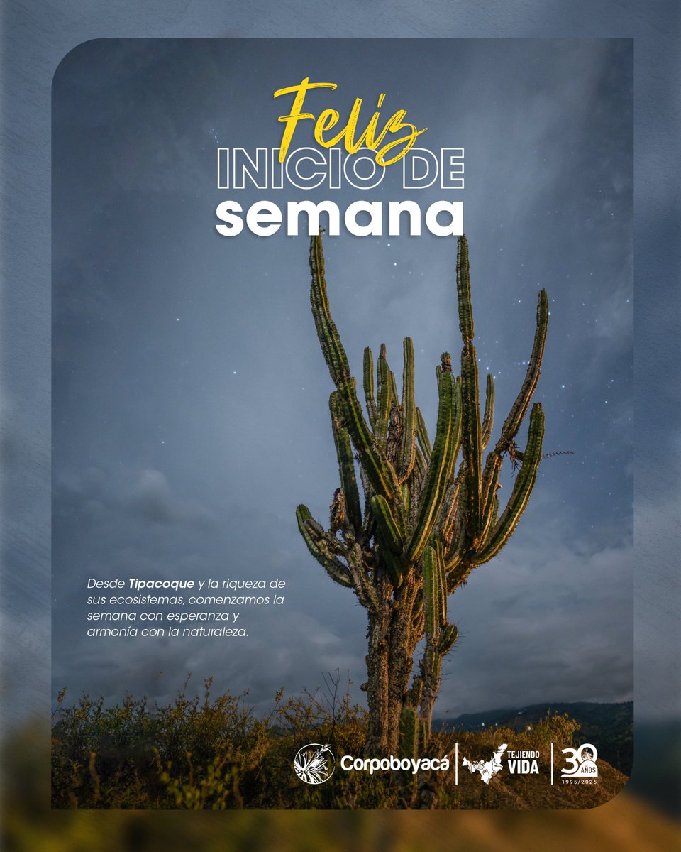 Comenzamos la semana resaltando los paisajes de Tipacoque:

✅Encontramos bosque seco tropical 🌵 y bosque andino🌲
✅ Predominan especies de flora como: Ceiba, guayacán amarillo, cactus columnares, aliso, encenillo y roble andino.
✅ Encontrarás: iguanas, lagartijas y ranas.