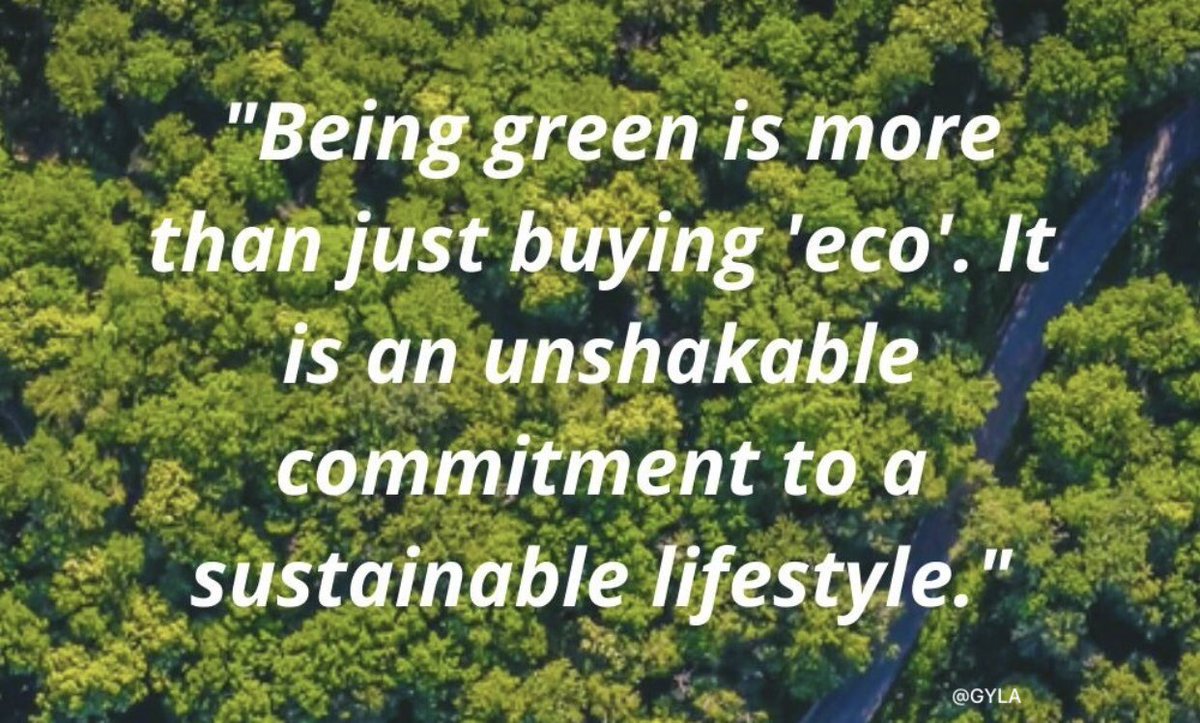 GYLA_Uganda's tweet photo. Being green isn’t about shopping eco—it’s a mindset, a commitment to living sustainably. 🌍✨ 

🌐https://t.co/ND9E4qh8SL

#GlobalYouth #LogisticsAfrica #GreenFuture #EcoRevolution #YouthInAction #ClimateChampions #SustainableLiving #FutureReady #ActNow #PlanetFirst #EcoMindset https://t.co/FhrOSVYm6B