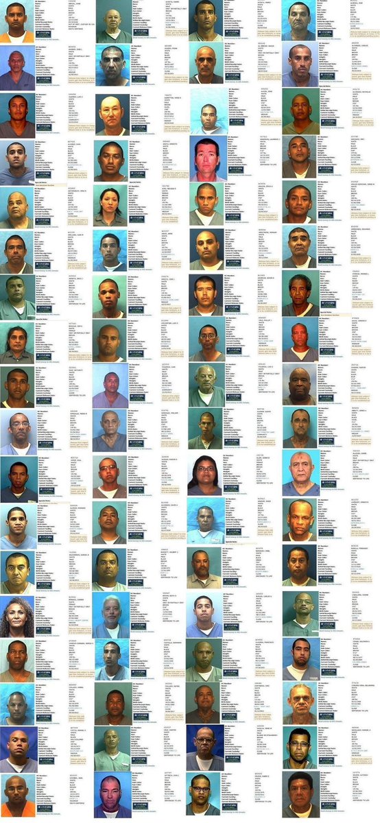 “But the FBI statistics are SKEWED!”

Yes… against whites. 

The real truth is even worse. 

Never forget: All these people (and many others) have been categorized as “white”.