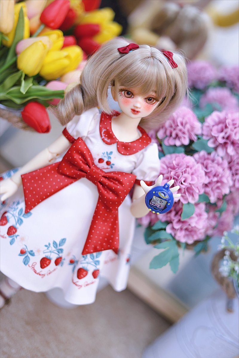 🍓 
딸기소녀 히카루