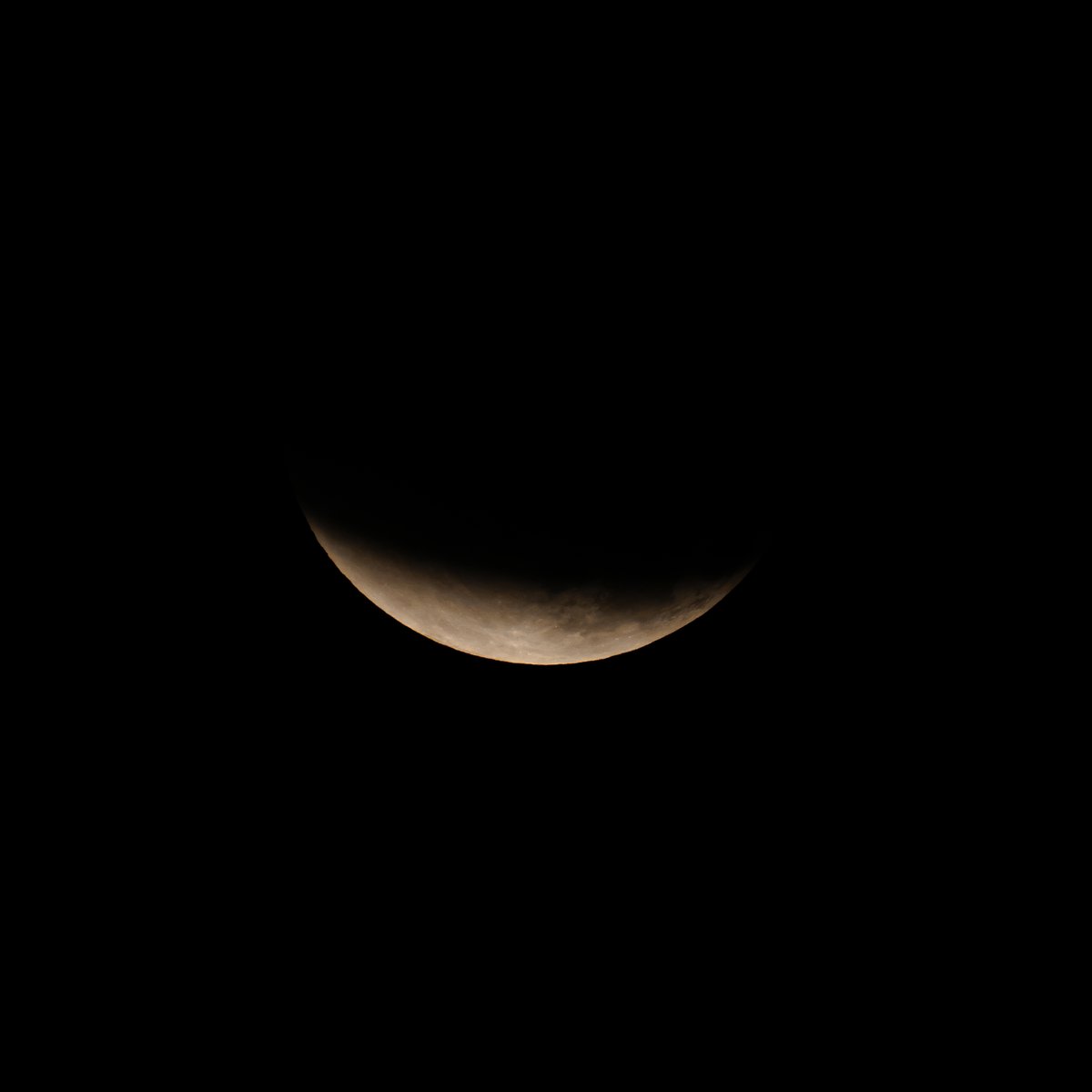 PlenilunioR's tweet image. まずは普通の食から。 
食べられてるみたいでかわいい🌔 
#月食 #lunareclipse