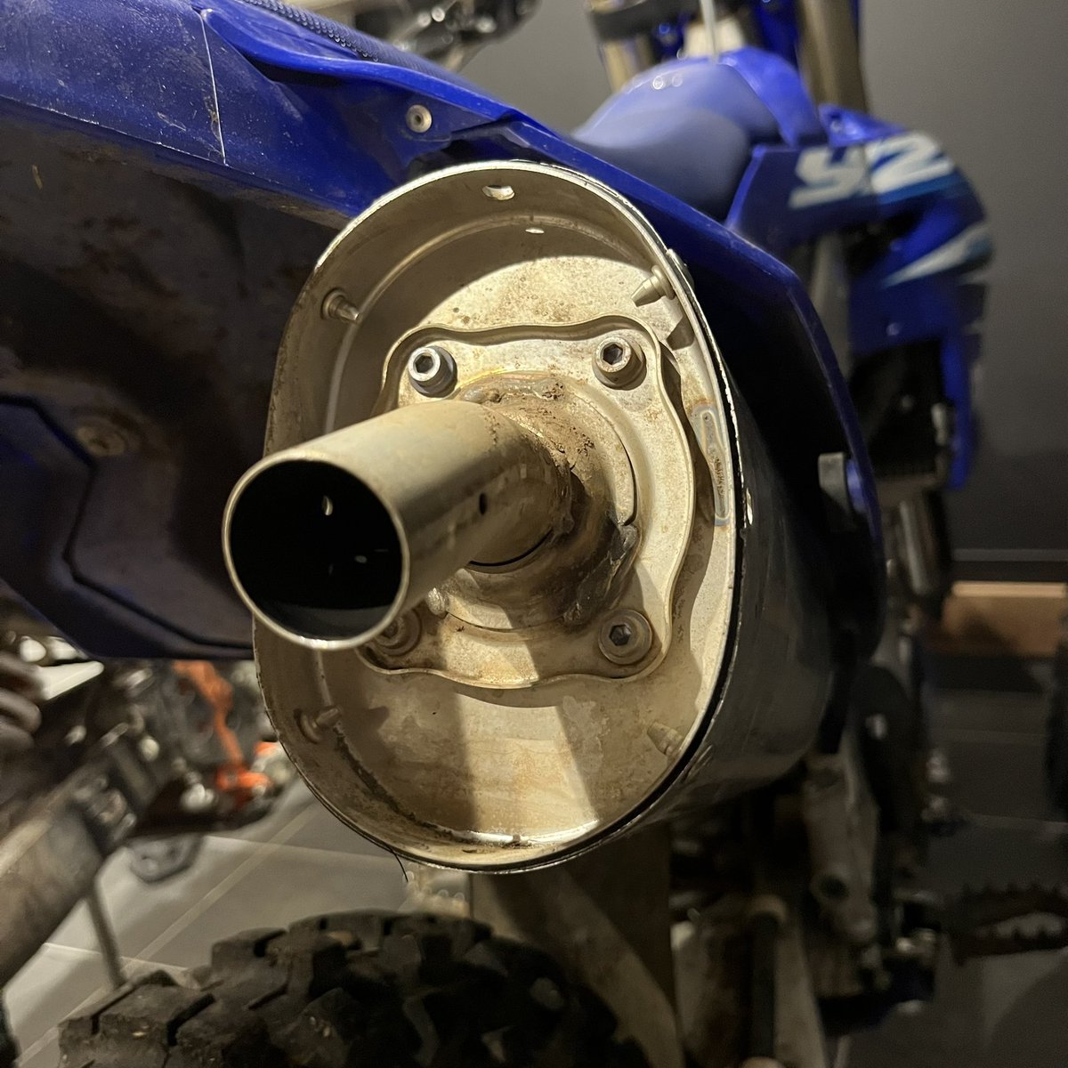 ホンモノのダイ tweet media
