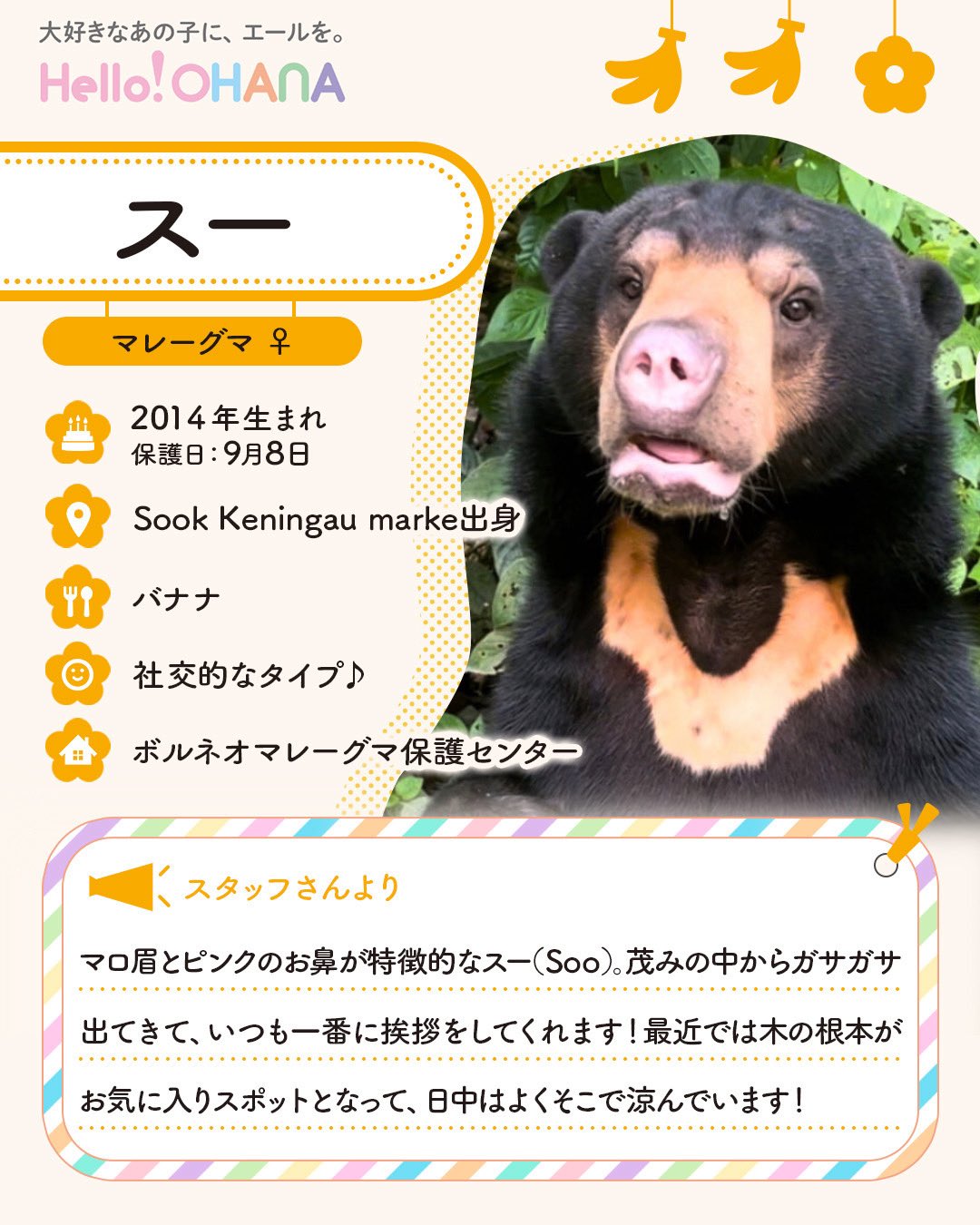 ohanaさま専用ページ 動物たちの応援サイト｜Hello!OHANA（ハローオハナ