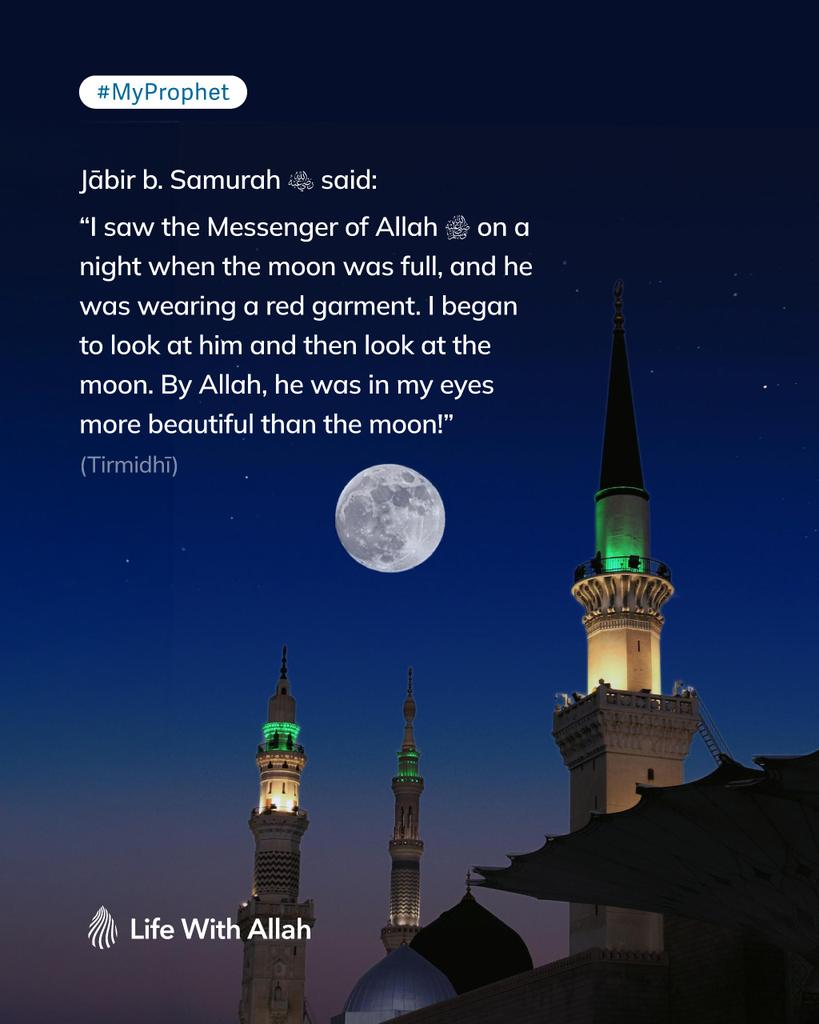 Life With Allah - الحياة مع الله tweet media
