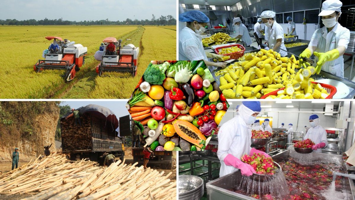 FarmerGrea64590's tweet image. 🌍Vietnam’s fruit &amp;amp; veg exports are booming 
✅ agri-exports hit $3.87B in 2025!
🚀 July alone: $765M (+38.6% YoY)
✅ Strong growth in USA, Japan, EU
🍈 Durian &amp;amp; value-added produce lead the way
👉 Big opportunities ahead for global partners!
#VietnamExport #Agriculture #B2B