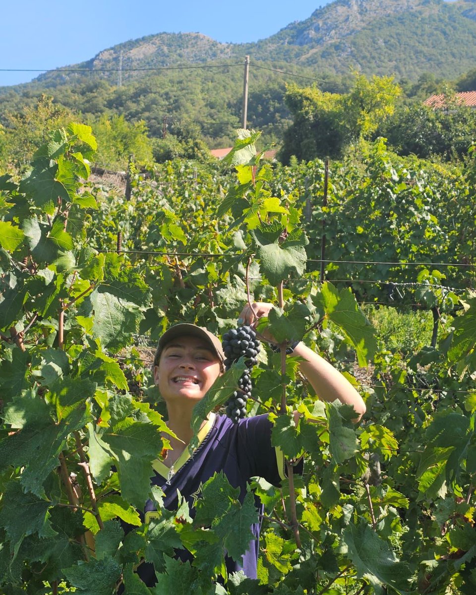 🍇 Ever wanted to join a wine harvest? Our Lake Skadar guests got a unique chance to ‘pluck and glug’ this weekend… in Montenegro’s wine country.🍷

Huge thank you to Ilija Klisić and his family for welcoming our guests!
What a memorable end to a brilliant week of adventures.