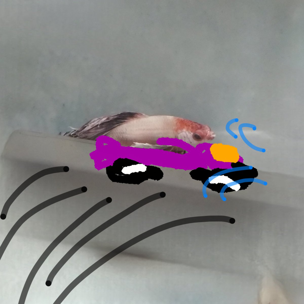 ﾌﾞｵｰｰｰﾝ!!!

コーナー攻めるｾﾞｯ🏍️