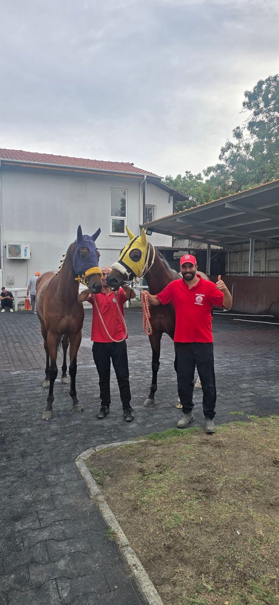 Dünki istanbul konularında ULUSLAR ARASI FESTİVALDE BAŞARI GÖSTEREN MADRAS VE BIRANDO İSİMLİ ATLARIMIZ GALİBİYETLE BAYRAĞIMIZI DALGALANDIRDIKLARI İÇİN TEKER TEKER TEŞEKKÜR EDİYORUM ASLAN YÜREKLİLERDEN .🧿🧿🧿🧿🧿🧿🧿🧿🧿🧿🧿🧿🧿🧿🧿🧿🧿🧿🧿🧿🧿🧿🧿🧿🧿🧿🧿🧿