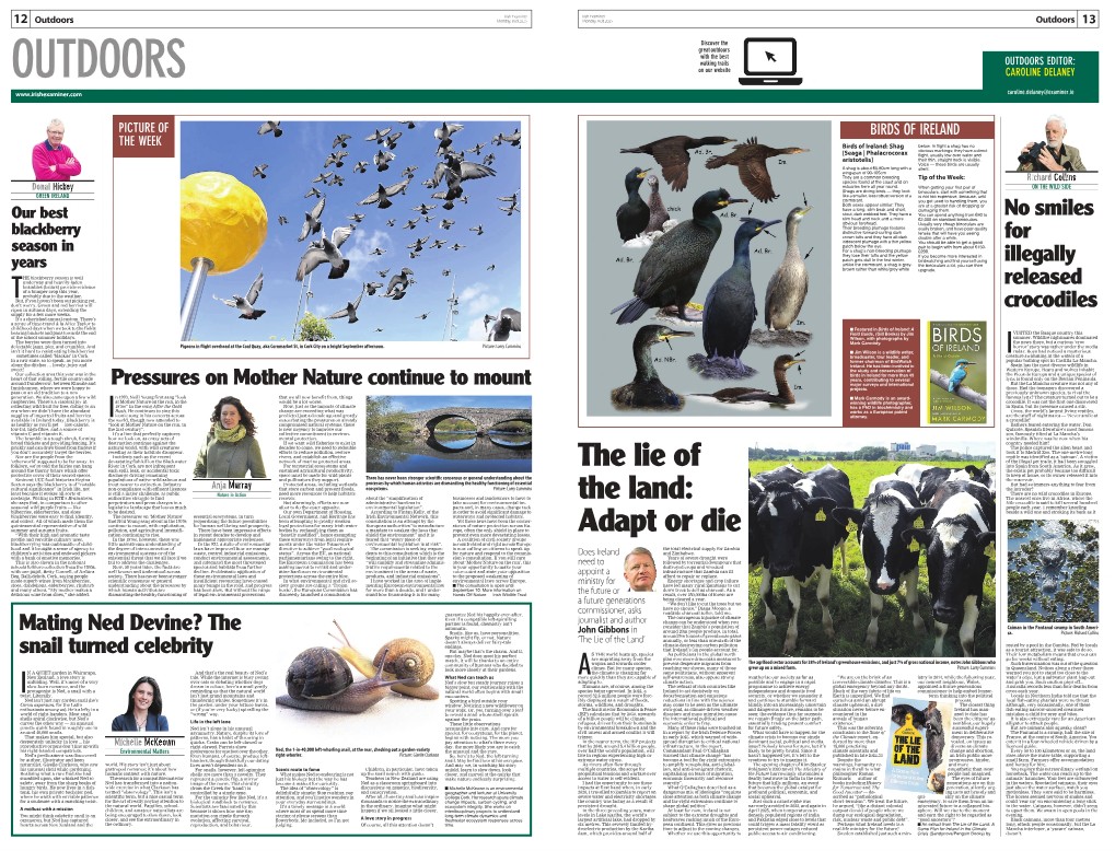 Caroline Delaney tweet media