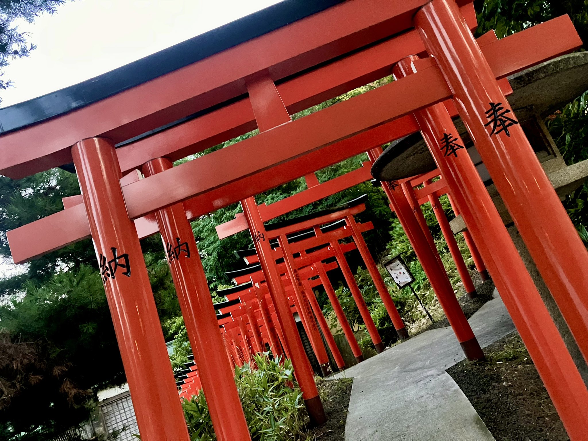 札幌Pandora on X: 