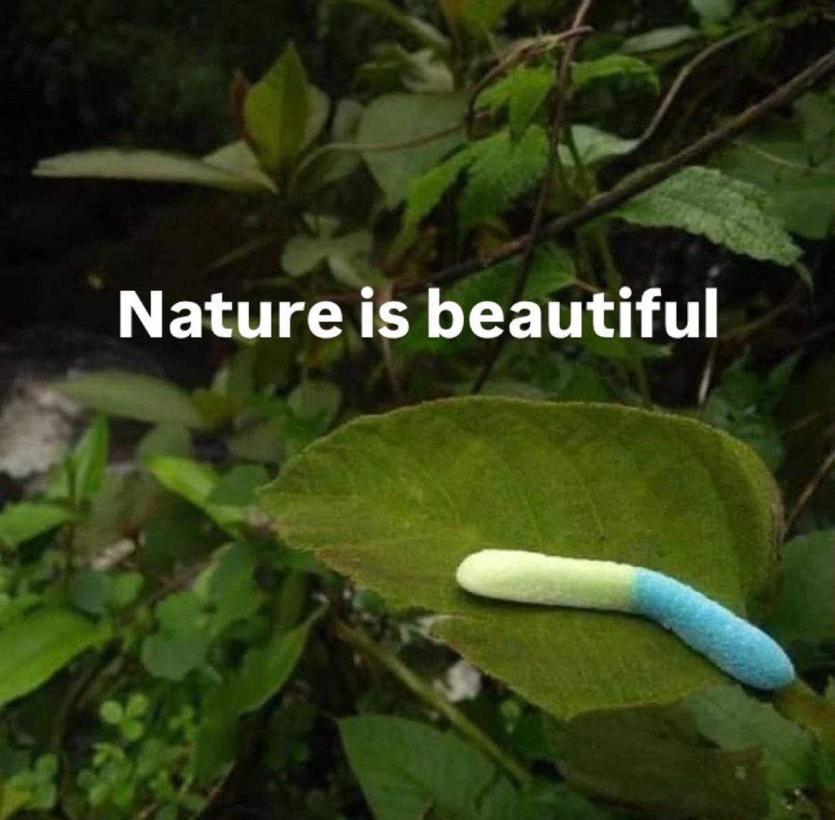 Images That Make You Feel Pain (@manmilk2) on Twitter photo 