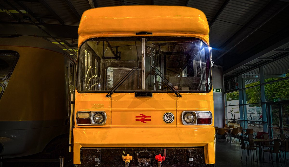 Tim Dunn tweet media