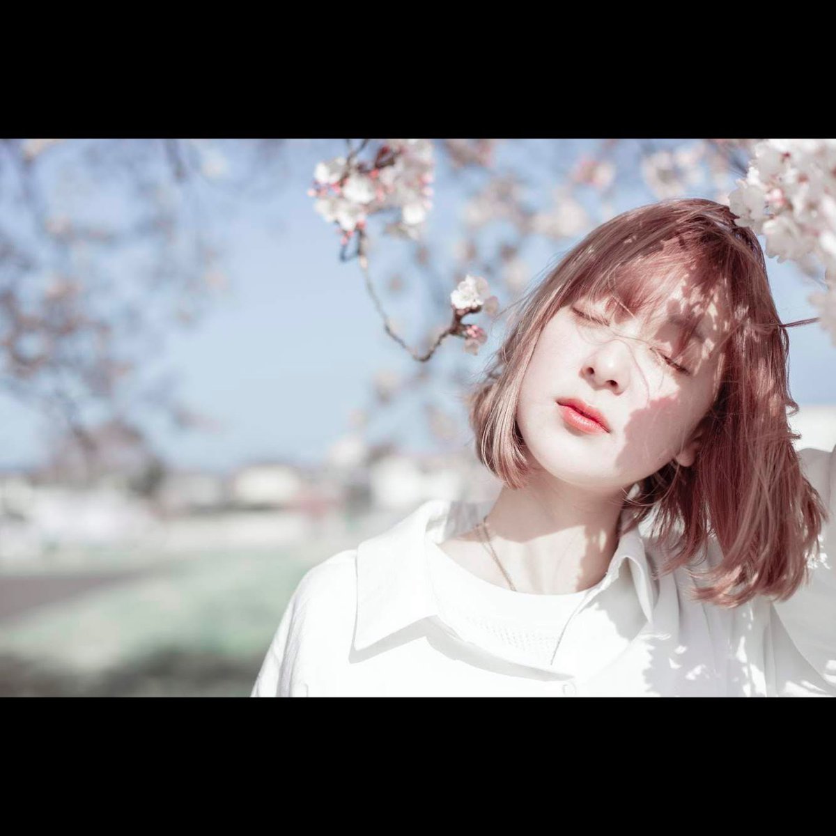 cherry blossom

#photograghy