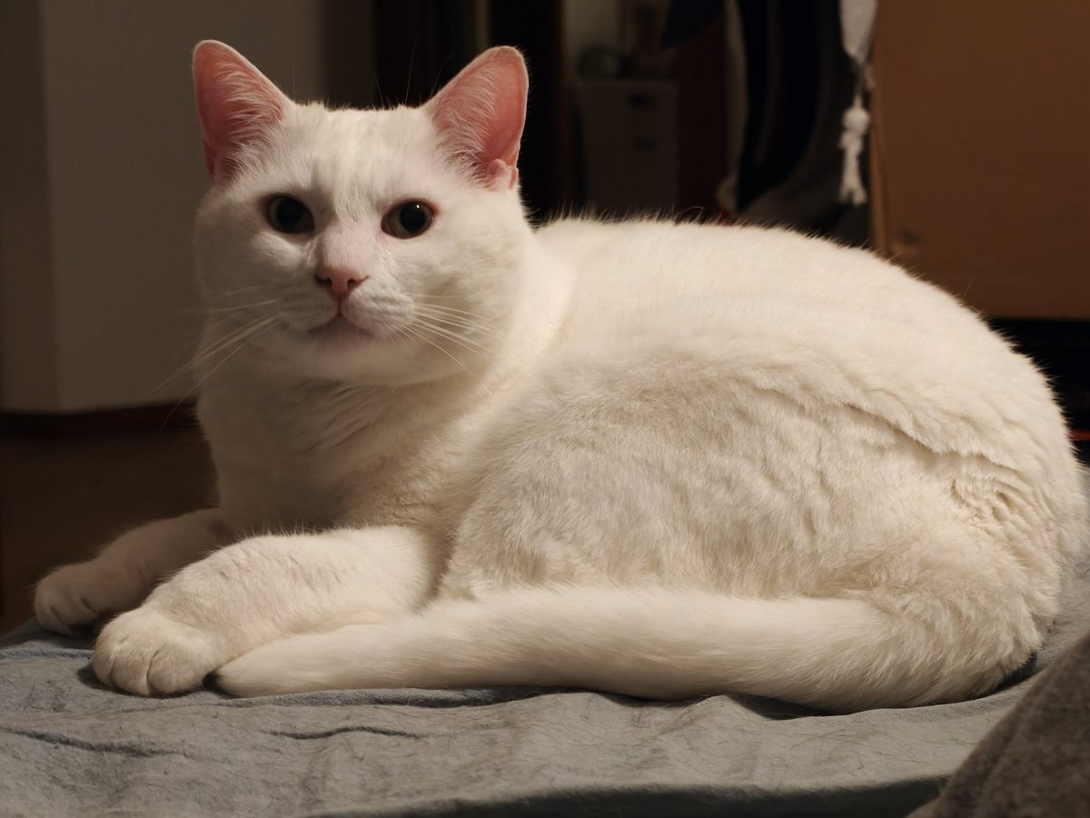 gorgeous boy everyone agrees