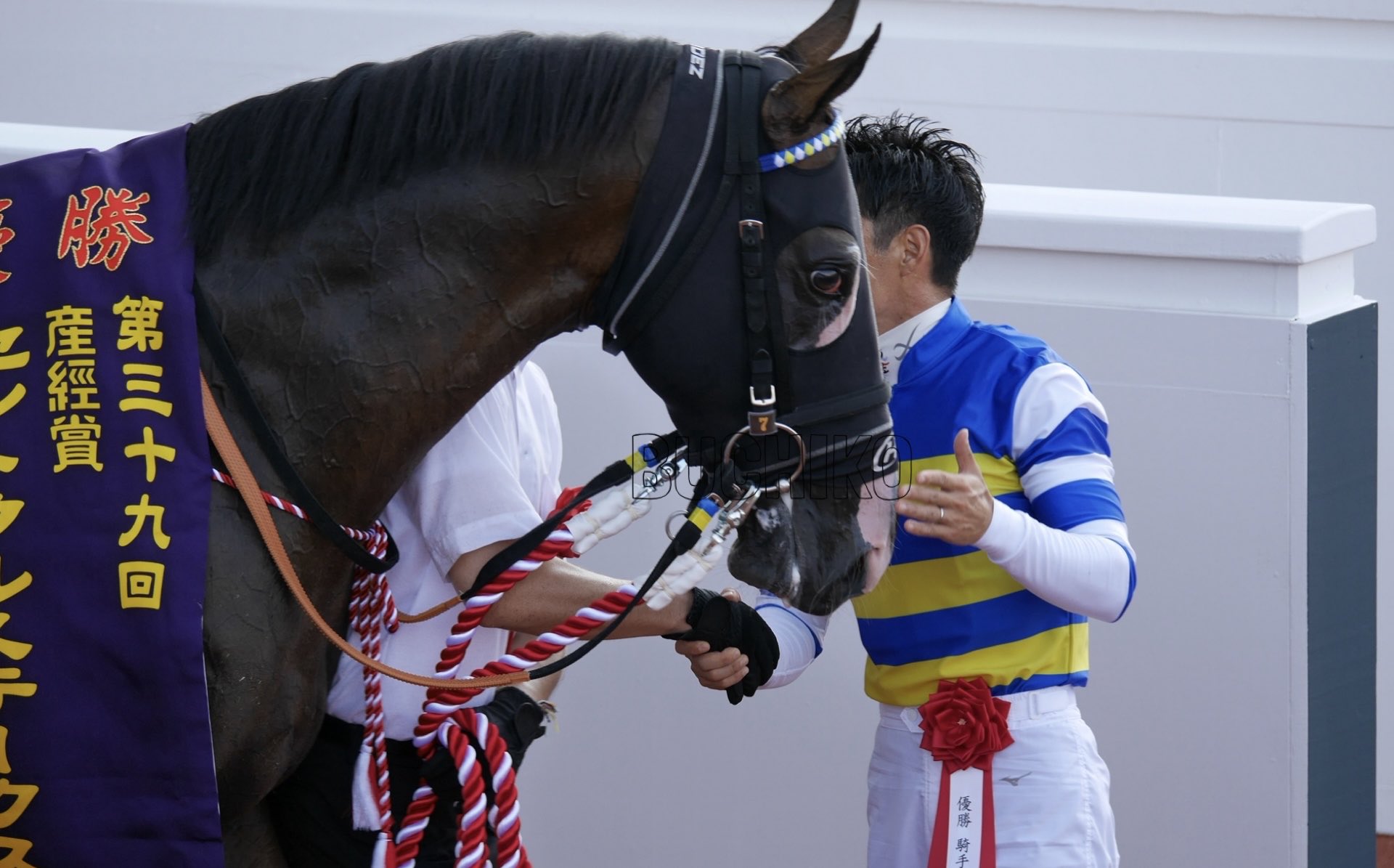 ぶちこです ぶちこです ブチコ (Buchiko) | 競走馬データ - netkeiba