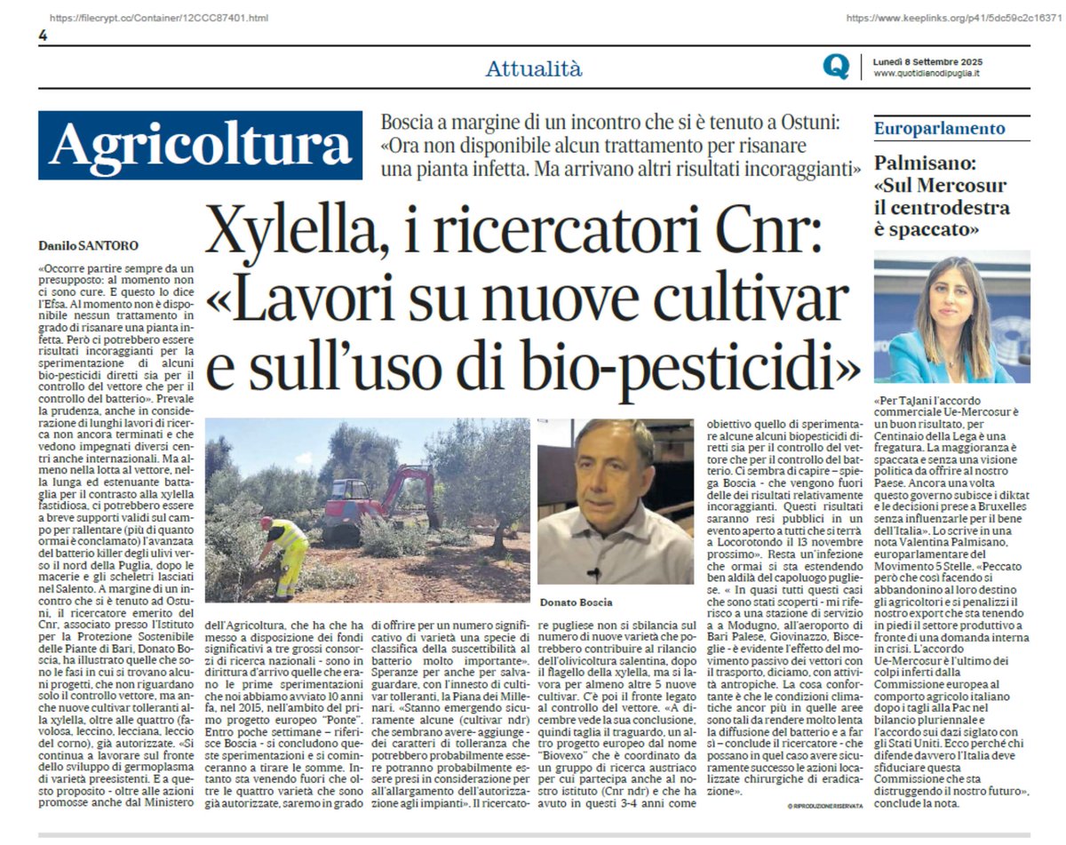 BIOVEXO Biopesticides to fight Xylella fastidiosa (@biovexoproject) on Twitter photo ๐จ News Alert! The <a href="/BiovexoProject/">BIOVEXO Biopesticides to fight Xylella fastidiosa</a> has been featured in the Italian newspaper โNuovo Quotidiano di Pugliaโ, highlighting our #progress in the fight against #Xylella in the Mediterranean ๐ฟ
๐
Final results to be shared at our conference on 13 Nov 2025 in Apulia!
๐ More info & ๐จ News Alert! The <a href="/BiovexoProject/">BIOVEXO Biopesticides to fight Xylella fastidiosa</a> has been featured in the Italian newspaper โNuovo Quotidiano di Pugliaโ, highlighting our #progress in the fight against #Xylella in the Mediterranean ๐ฟ
๐
Final results to be shared at our conference on 13 Nov 2025 in Apulia!
๐ More info &