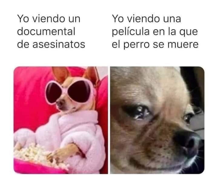 Ana_LaPatata (@ymuchosmemes) on Twitter photo 