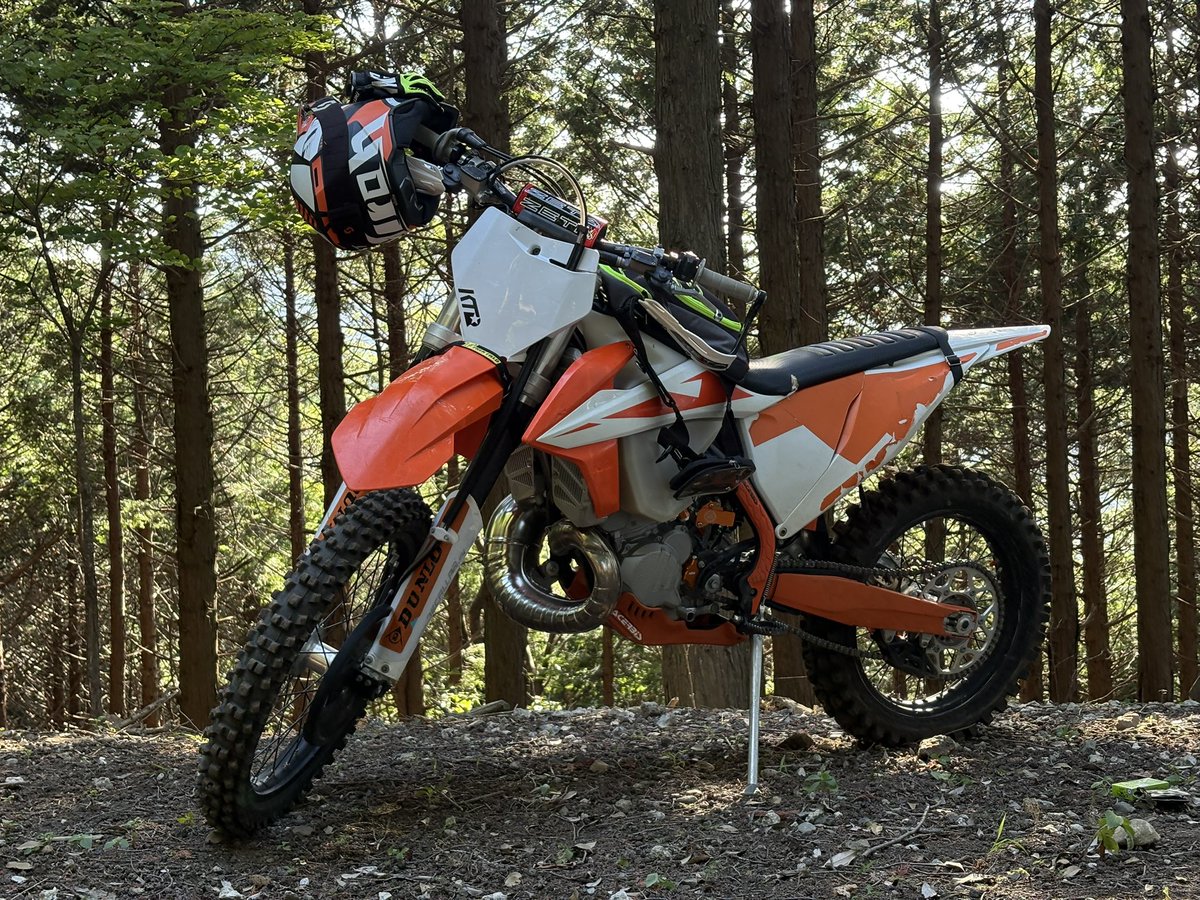 夕方ちょこっと乗ってバイク洗ったりちょこちょこしてたら1000箇所くらい蚊に噛まれてる。全部背中はやめてくれ。
画像は全く関係なし、目指せ月30時間
