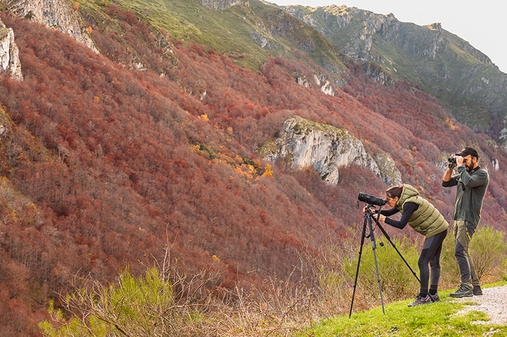 Galicien, Asturien, Kantabrien, Andalusien und die Kanarischen Inseln stehen an der Spitze des Ökotourismus in Spanien 🌱

🔗 Fördere den Ökotourismus: tourspain.es/consejerias/fr…

#ThinkYouKnowSpain 
<a href="/turcantabria/">Turismo en Cantabria</a> <a href="/TurismoAND/">Consejería de Turismo y Andalucía Exterior</a> <a href="/TurismoAsturias/">TurismoAsturias</a>
<a href="/Turgalicia/">Turismo de Galicia</a> <a href="/TurismCanarias/">Turismo de Islas Canarias</a>