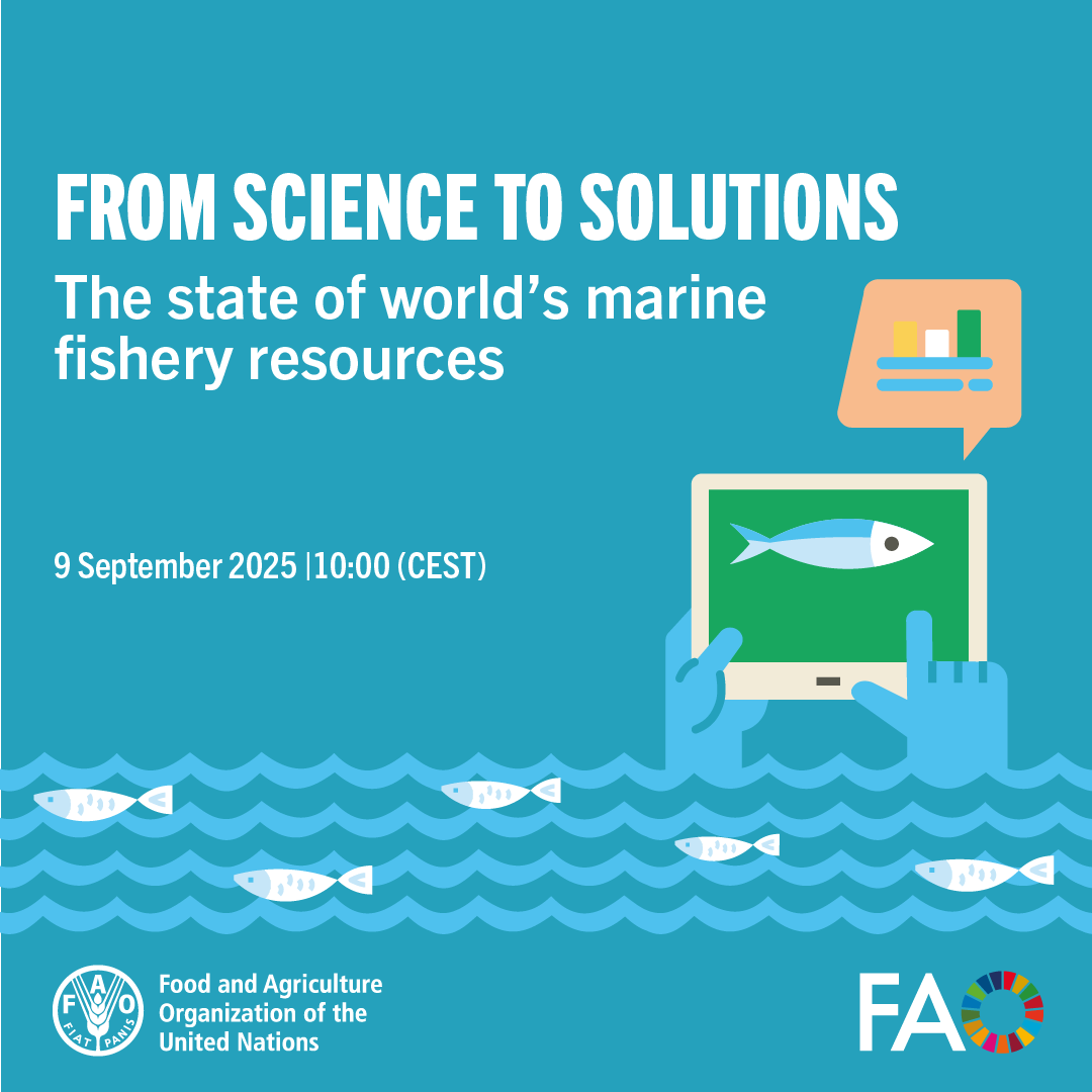Join us tomorrow, 09/09, for key insights on the current State of World Marine Fishery Resources.

A report developed with input from 650+ experts, assessing over 2,500 fish stocks.

Join online 👉 fao.zoom.us/meeting/regist…