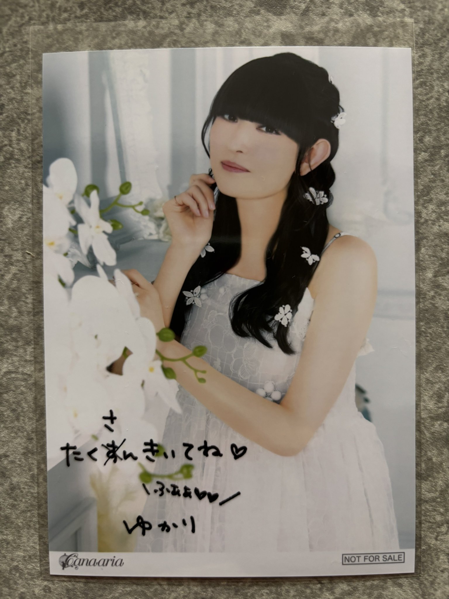 ティモうさ。黒色(田村ゆかり)購入希望の方コメントへ ティモうさ。黒色(田村ゆかり)購入希望の方コメントへ ティモ