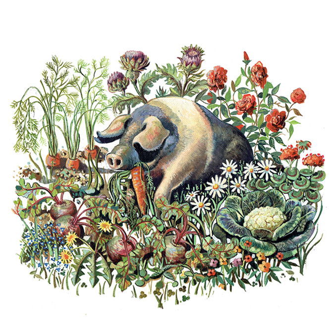 A Saddleback Pig
From time to time, you hear stories of pigs escaping onto vegetable plots. Once they do, they happily eat themselves senseless—a disaster, though still slightly amusing. That mix of character and charm struck me as the perfect subject for a #painting #allotment