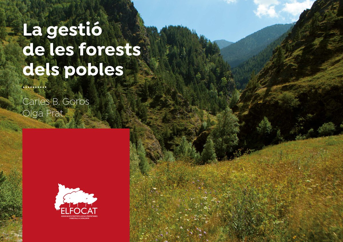 Què en sabem dels boscos? 
Per què és important per a nosaltres, conèixer-los i preservar-los?
Fem un viatge per les forests comunals, descobrint-ne les característiques i l’essència de la seva protecció, usos i manteniment.