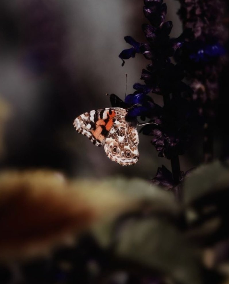 Die größesten Wunder gehen in der größesten Stille vor.

- Wilhelm Raabe