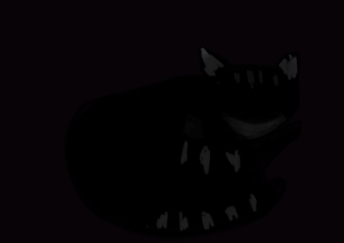 Natrium6's tweet photo. 真夜中の猫 https://t.co/ZP7NFUzvK3