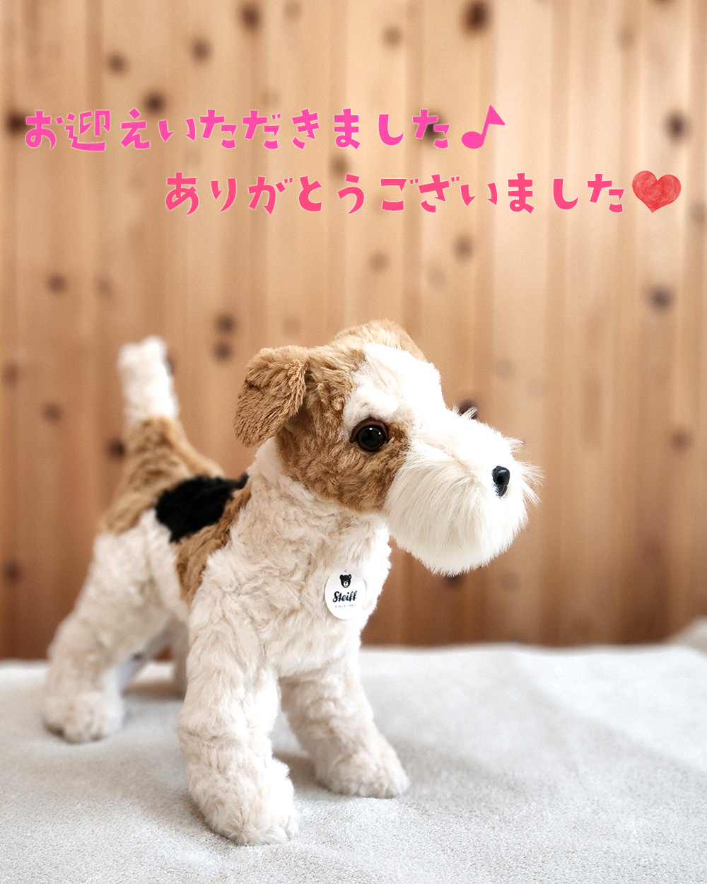 ラブシュタイフ on X: 