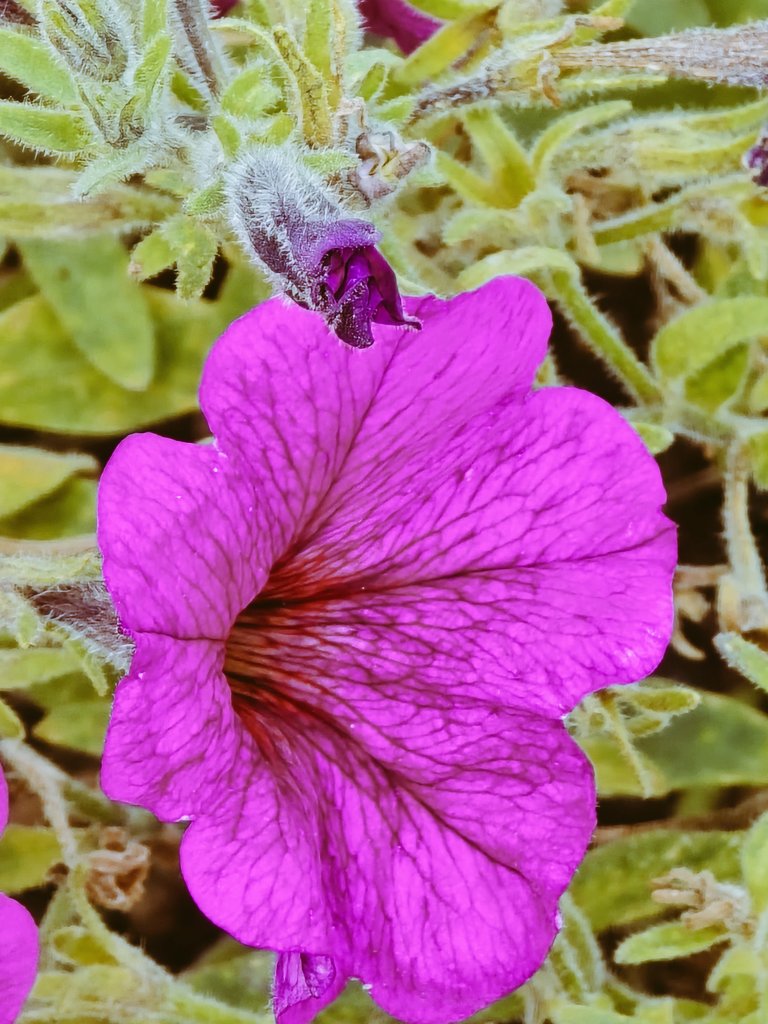 <a href="/KerstiSandstrom/">Kersti Sandström</a> Happy Monday!😉🙋‍♂️🌞