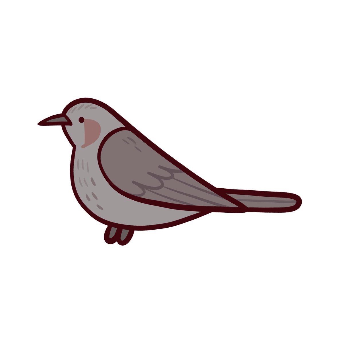 #1일1새 
31. 직박구리
참새목 직박구리과에 한국에서 흔히 볼 수 있는 텃새입니다! 발그레한 볼과 부숭부숭한 머리털이 귀엽다고 생각해요🤭 울음소리가 상당히 높고 시끄러운 편이라 어디선가 끼에에에에에엑!!하는 소리가 들린다면 이녀석이랍니다